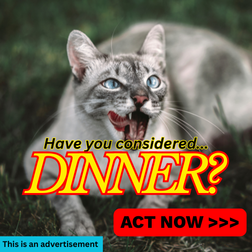 Example of a fake ad created for Big Ol' News