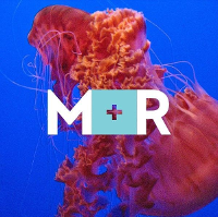 M&R Strategic Services